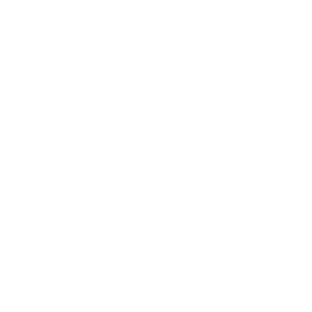 Logo Footer